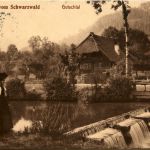 Gutachtal - Gruss vom Schwarzwald