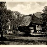 Gutach - Oberbauer