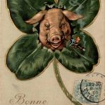 Schwein mit Kleeblatt