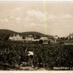 Gimmeldingen a d Weinstrasse