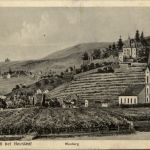 Hardt bei Neustadt - Maxburg