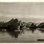 Spitzbergen - Treibeis