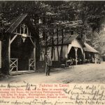 Fuchstanz im Taunus
