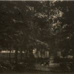 Neustrelitz - Partie im Tiergarten