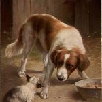 Dogs