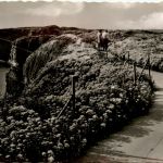 Helgoland - Partie an der Westküste