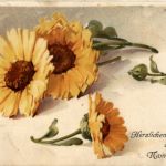 Namenstag - Blütenduft - Duftkarte