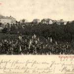Klotzsche Königswald