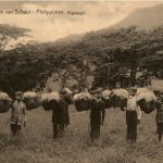 Philippijnen - Missien van Scheut