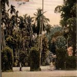 Colombo - Entrance Botanical Gardens