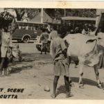 Calcutta - Street Scene