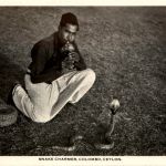 Snake Charmer Colombo