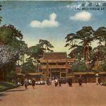 Tokyo - Meiji Shrine