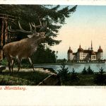 Gruss aus Moritzburg