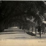 Meran - Kurpromenade