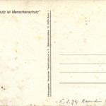 Deutscher Tierschutzbund - Hund