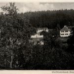 Bad Berggiesshübel - Zwiesel - Waldfriedenbaude