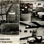 Zwieselmühle - Berggiesshübel