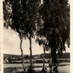 Gruha bei Pillnitz