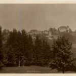 Gruyeres