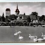 Arbon