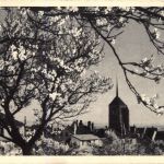 Pesel - Neuchatel