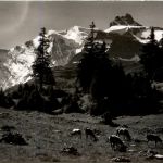 Kiental - Steinenberg