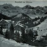 Rossfall im Winter