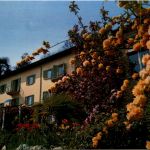 Monti-Locarno Pension Tabor
