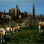 Schloss Wildegg