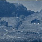 Braunwald