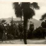 Locarno - Viale delle Palme