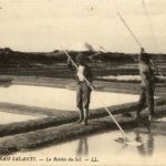 Les Marais Salants - Le Recolte du Sel