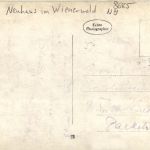 Neuhaus im Wienerwald - Curhotel D Orange