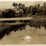 Hermsdorf - Am Waldsee