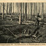 Westlicher Kriegsschauplatz 1916