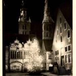 Lemgo - Weihnachtsbaum