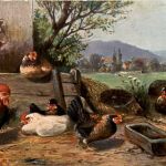 Hühner