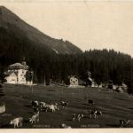 Morgins - Les Hotels