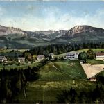 MEnzberg