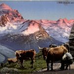 Abend am Roseggletscher