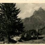 Braunwald - Hotel und Pension Niederschlacht