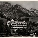 Chateau d Oex - La Soldanelle