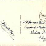 Chateau d Oex - La Soldanelle