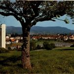 Zurzach