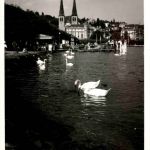 Luzern