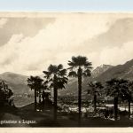 Vegetazione a Lugano