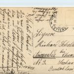 Vegetazione a Lugano