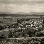 Mittel-Muhen