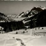 Schöniseiabfahrt bei Sörenberg